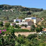 Wine & Olive Oil tasting one day private tour in Crete - Starting Point: Convenient Pickup and Scenic Transfer