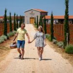 Wine picnic - Scenic Setting at Pervino’s Picnic Hill