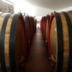 Wine tasting and horseback riding in Montepulciano, in Tuscany from Rome - Horseback Riding Through Tuscan Hills for All Skill Levels