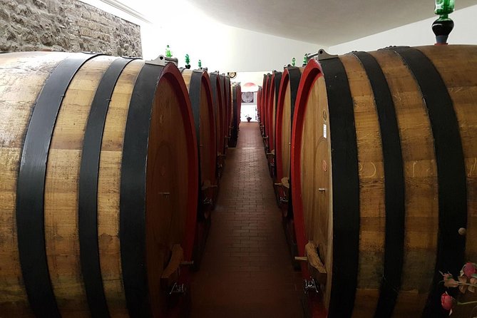 Wine tasting and horseback riding in Montepulciano, in Tuscany from Rome - Horseback Riding Through Tuscan Hills for All Skill Levels