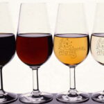 Wine Tasting and local tapas delight in Cordoba - Starting Point and Meeting Arrangements in Córdoba