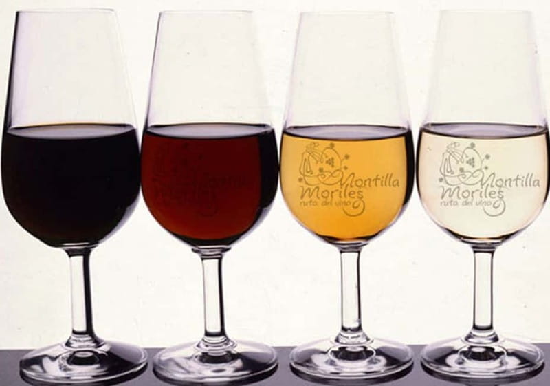 Wine Tasting and local tapas delight in Cordoba - Starting Point and Meeting Arrangements in Córdoba