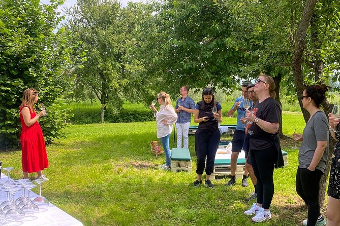 Wine Tasting and Tour of Lugana Wines in Sirmione - Starting Point and Convenience