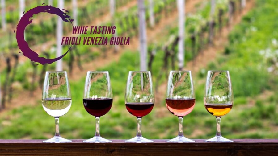 Wine tasting and winery tour in Friuli Venezia Giulia - Sampling the Wineries of the Collio Region