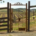 Wine Tasting Audio Tour - Paso Robles CA - Starting Point and Tour Duration in Paso Robles