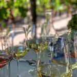 Wine Tasting Including Lunch - Wine Tasting and Organic Wine Selection