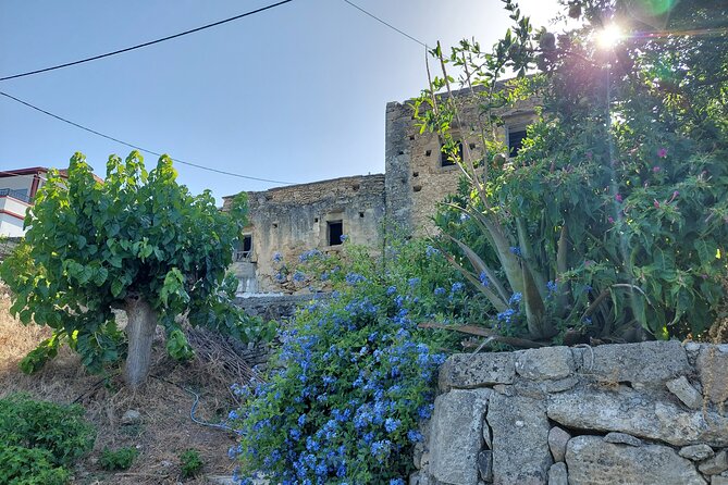 Wine Tasting: Meet the Cretan Vineyard at West Chania - Food Pairings: Artisanal Cheeses and Local Delicacies