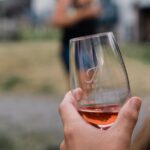 Wine Tasting on Ile d'Orleans - Exploring Vignoble du Mitan: The Second Vineyard