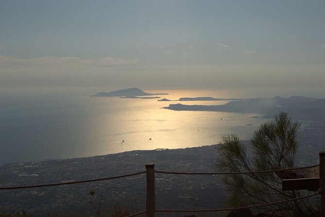 Wine Tasting on Mount Vesuvius - Pickup and Departure at 11:30am in Naples