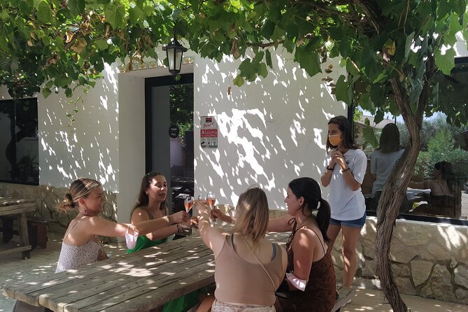 Wine tasting tour - Exploring the Utiel-Requena Vineyards