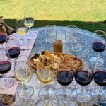 Wine Tasting Tour at Two Wineries in Urla Turkey - Visiting Two Wineries on the Urla Wine Route