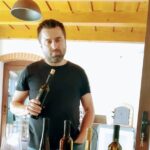 Wine Tasting Tour in Tokaj Wine Region Slovakia. With transport - Wine Tasting at Velka Trna Winery