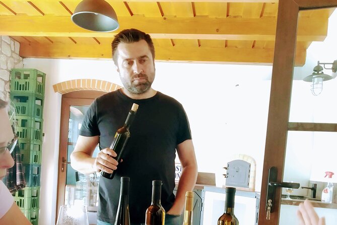 Wine Tasting Tour in Tokaj Wine Region Slovakia. With transport - Wine Tasting at Velka Trna Winery