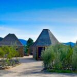 Wine Tasting Tour ONLY for Cruise Ship Visitors. ALL INCLUSIVE! - Visit Clos de Tres Cantos: A Sustainable Boutique Winery