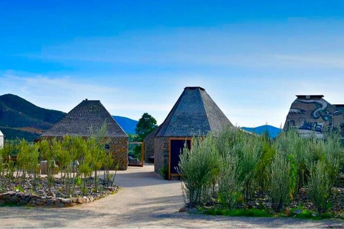 Wine Tasting Tour ONLY for Cruise Ship Visitors. ALL INCLUSIVE! - Visit Clos de Tres Cantos: A Sustainable Boutique Winery