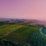 Wine Tasting & Tour Premium - Scenic Drive to Lake Trasimeno and Surrounding Hills