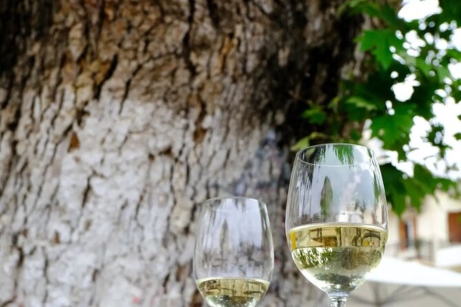 Wine Tasting Walking Tour in Old Town Chania - Meeting at Anassa Boutique Hotel on the Old Venetian Harbor