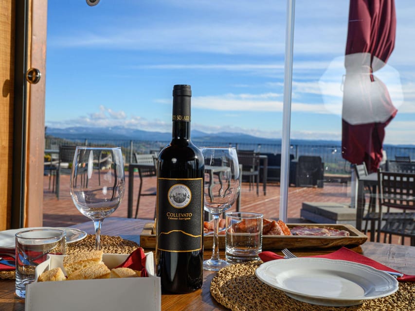 Wine Tasting with Local Food Pairing near Livorno - Visit the Scenic Vineyard in Campiglia Marittima