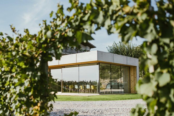 Wine Tasting with Pairing Snacks in Vipava Valley - The Lucrative Experience at Lepa Vida Winery