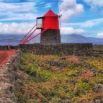 Wine Tour - Exploring the Pico Wine Museum