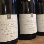 Wine tour and tasting in Burgundy - The Vineyards of Meursault: A Closer Look