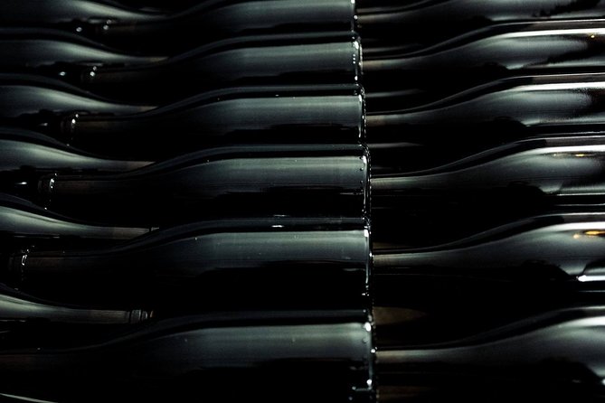 Wine tour and Tasting in Nocciano - A Deep Dive into the Wine-Making Journey