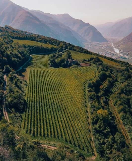 Wine tour at Borgo dei Posseri: wine, nature, and authenticity - Starting Point: Borgo dei Posseri’s Vineyard Setting