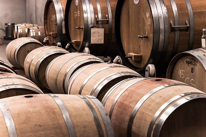 Wine Tour Athens to visit 2 of the most Award-Winning Wineries - Visiting the Bio-Climatic Winery in Markopoulo