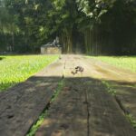 Wine Tour, discovering the famous Setúbal Moscatel - Exploring the Bacalhôa Palace and Winery