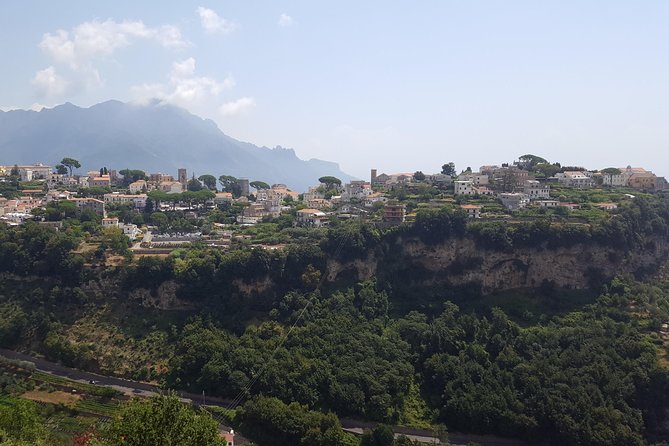 Wine Tour Experience for Family or friend's group - Pompeii and the Vineyard: An Unique Combination