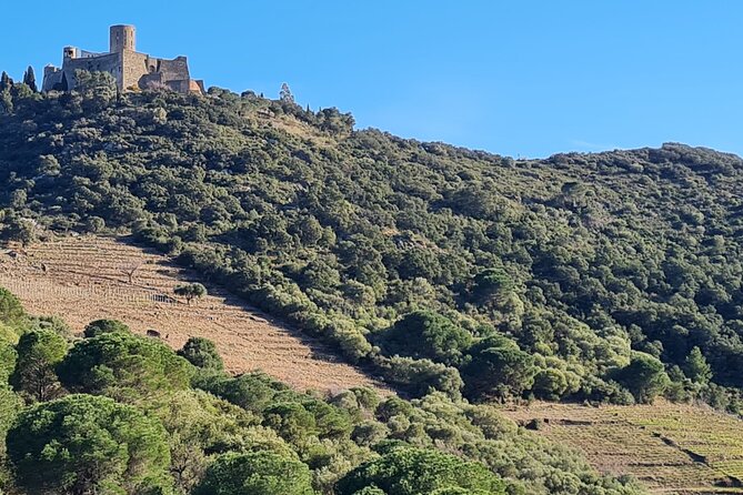 Wine Tour in Roussillon: Picnic & Tasting Day - Starting Point at Perpignan for an Authentic Wine Day