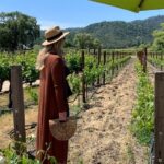 Wine Tour Pros - Wine Tour and Transportation: SUV Up To 6 Guests - Customizable Itinerary for a Personalized Wine Day