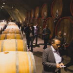 WINE TOUR: Recommended for hedonists! - Tasting Five Wines from Montenegro’s Best Cellar