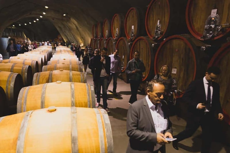 WINE TOUR: Recommended for hedonists! - Tasting Five Wines from Montenegro’s Best Cellar