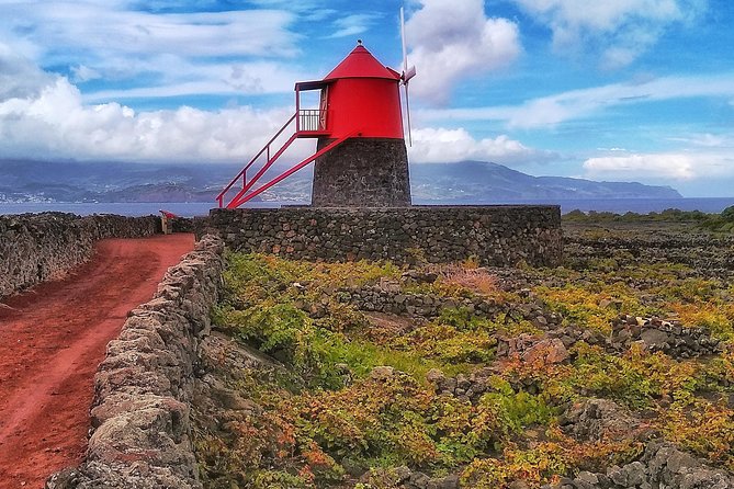 Wine Tour - Exploring the Pico Wine Museum