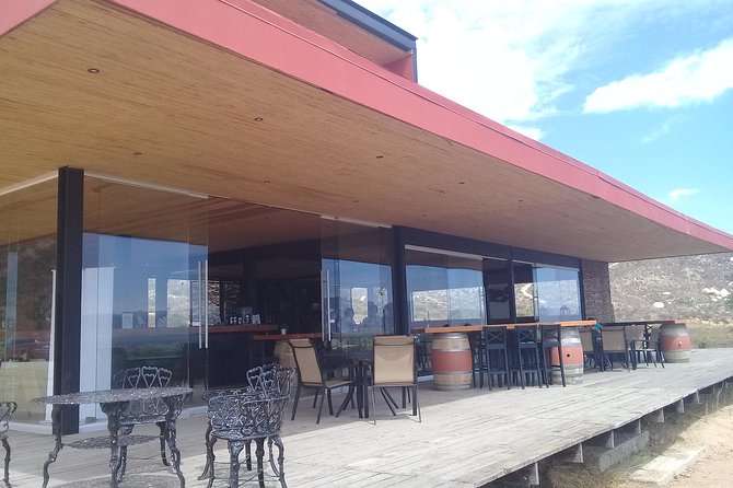 wine tours and driver service through valle de guadalupe, Ensenada B.C. Mexico - Valle de Guadalupe Wine Country Highlights