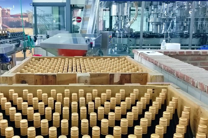 Wine Trails Private Tour/ Nemea visit 3 wineries from Athens or Nafplion (10 h) - From Athens or Nafplion to the Heart of Greece’s Wine Country