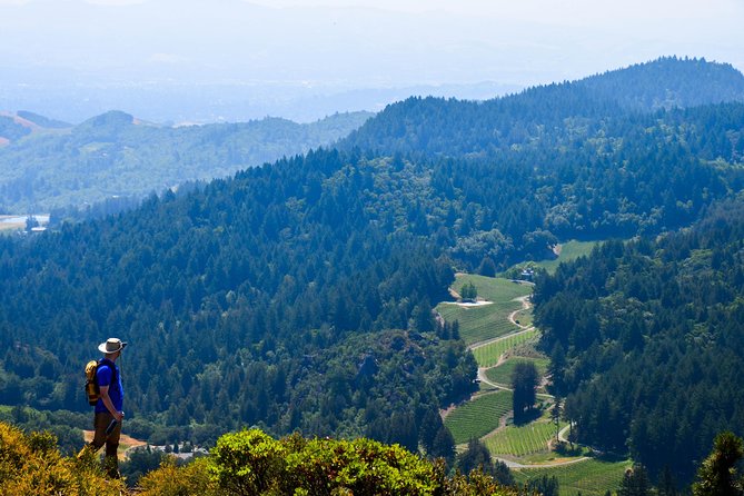 Wine & Wellness Tour in Napa Valley - Exploring Redwood Forests in the Morning