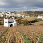 Winery Tour and Tasting in Tinos with the Winemaker - Visiting a Family-Owned Winery in Tinos Village of Steni