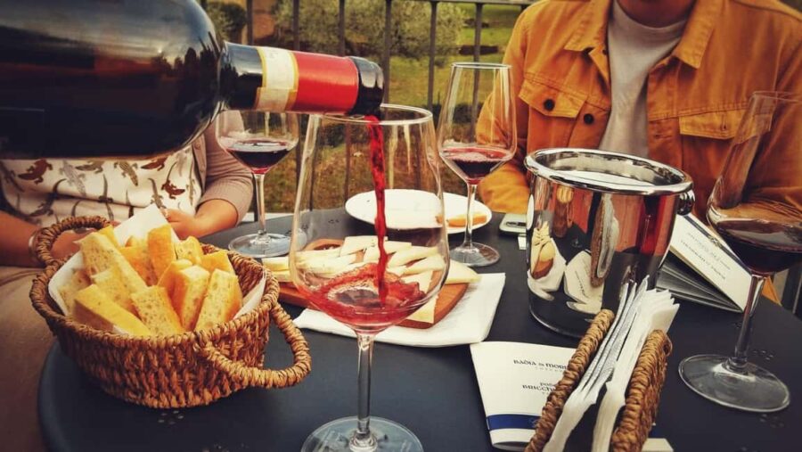 Winery tour and Tuscan wine tasting with culinary specialties - Practical Details: Meeting Point and Language