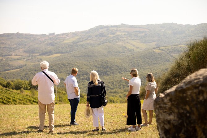 Winery tour & wine tasting in Montalcino - Walking Through Tuscan Vines: Exploring Biodynamic Philosophy