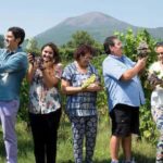 Winery Tour with Organic Wine Tasting & Lunch near Pompeii - Scenic Walk Through Vesuvius-Influenced Vineyards