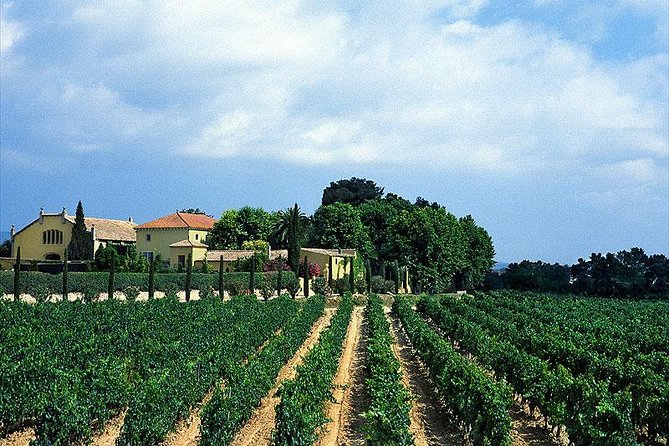 Winery Tour with Private Luxury Vehicle from Barcelona with Hotel pick up - Convenience Starts with Hotel Pickup in Barcelona