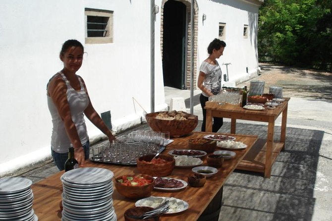 Winery tour with Wine and Olive tasting in Corfu - What the 20-Minute Winery Tour Covers