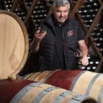 Winery visit in Epesses and wine tasting - The Role of a Passionate Oenologist in the Tour