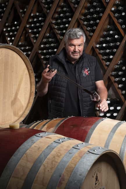 Winery visit in Epesses and wine tasting - The Role of a Passionate Oenologist in the Tour