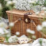 Winery visit / tasting in the vineyards, Mas des Escarades - Exploring the Vineyard and Cellar