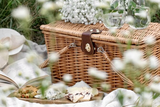 Winery visit / tasting in the vineyards, Mas des Escarades - Exploring the Vineyard and Cellar