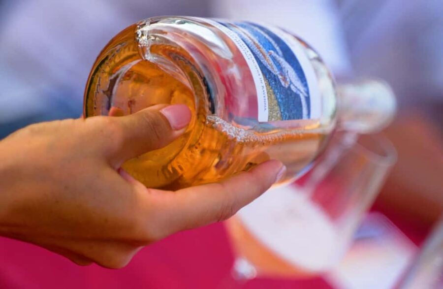 Winery Visit with Wine & Food Tasting near Ravenna - Visiting Azienda Agricola Randi in Emilia-Romagna