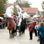 Winetaste in Villany, and visiting Pécs, on a private tour - The Charm of Villány: Hungary’s Red Wine Capital